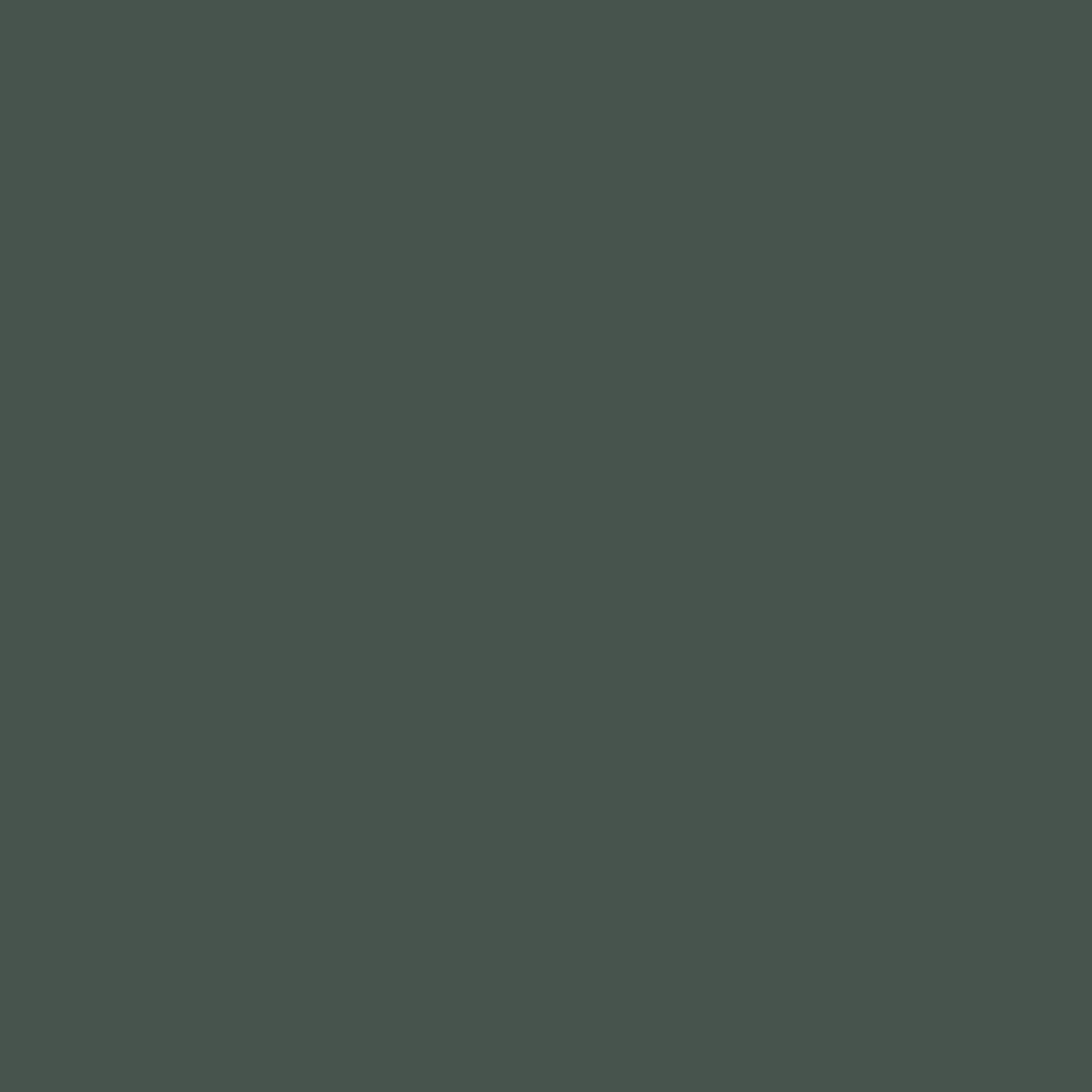 Kombu Green Matte (NEW)